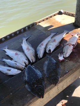 Flounder, Redfish, Speckled Trout Fishing in Rockport, Texas