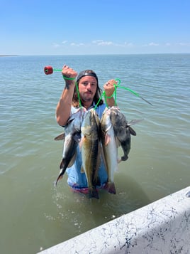 Black Drum, Redfish Fishing in Rockport, Texas