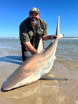 Blacktip Shark Fishing in Bolivar Peninsula, Texas