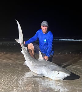 Blacktip Shark Fishing in Bolivar Peninsula, Texas