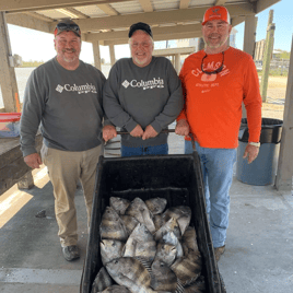 Sheepshead Fishing in Boothville-Venice, Louisiana