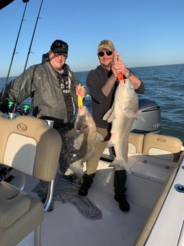 Black Drum Fishing in Galveston, Texas