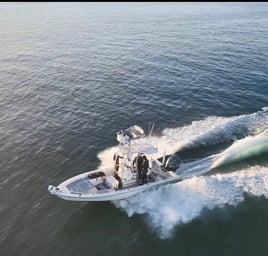 Tarpon charters