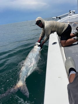 Tarpon charters