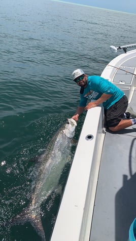 Tarpon charters