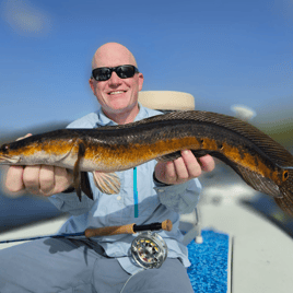 Split Trip Combo: Peacock bass & Snakehead