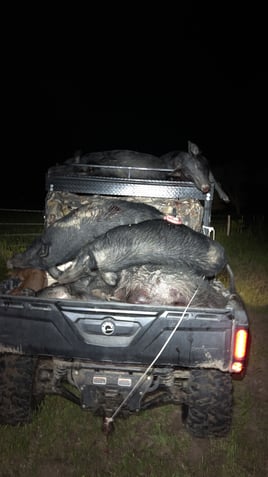 Texas Thermal Hog Fun