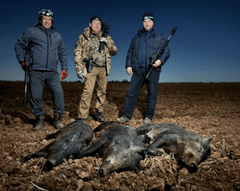 Hog Hunting in Honey Grove, Texas