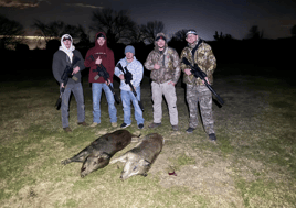 Hog Hunting in Honey Grove, Texas