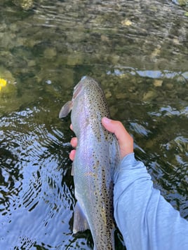 Provo River Float 'n Fish