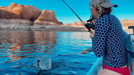 Striped Bass Fishing in Bullfrog, Utah