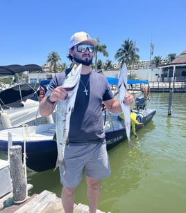 Barracuda Fishing in Cancún, Mexico