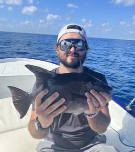 Triggerfish Fishing in Cancún, Mexico