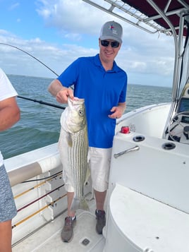 Hybrid Striped Bass Fishing in Tow, Texas