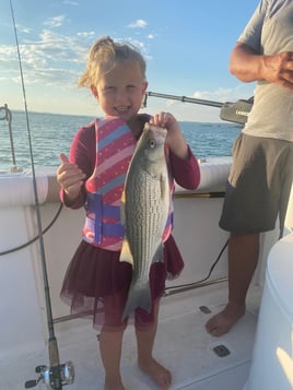 Hybrid Striped Bass Fishing in Tow, Texas