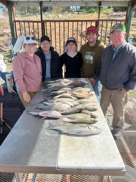 Hybrid Striped Bass, Striped Bass Fishing in Tow, Texas