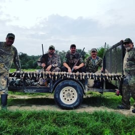 Texas Teal