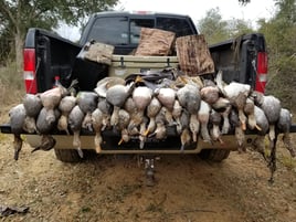 Texas Duck Hunt