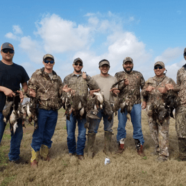 Texas Duck Hunt