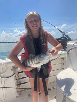 Striped Bass Fishing in Tow, Texas