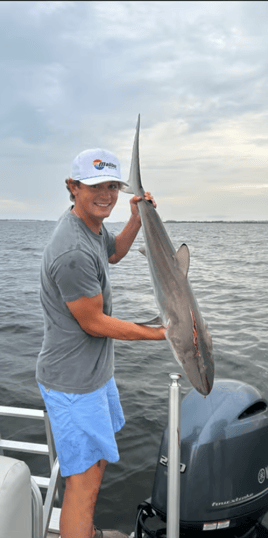 Blacktip Shark Fishing in Pensacola, Florida