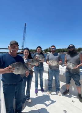 Triggerfish Fishing in Pensacola, Florida