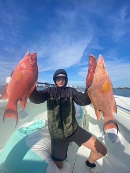 4 hour snapper charter