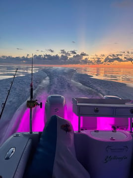 4 hour snapper charter