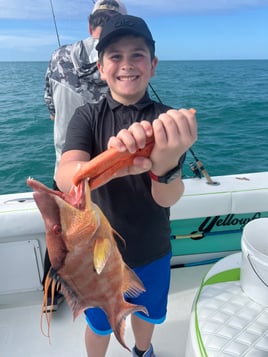 4 hour snapper charter