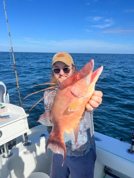 4 hour snapper charter