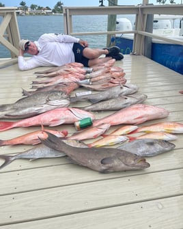 6 hr Grouper and snapper