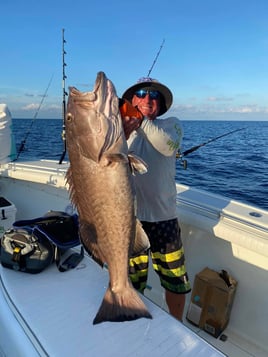 8 hr offshore grouper