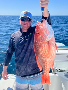 8 hr offshore grouper