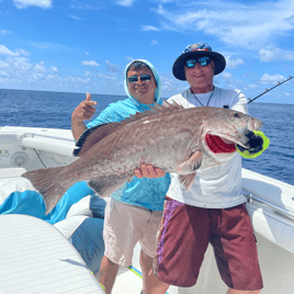 Black Grouper Fishing in Madeira Beach, Florida