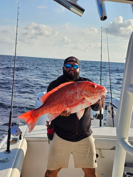 8hr Red Grouper