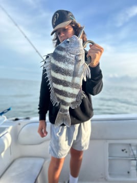 Sheepshead Fishing in Port Orange, Florida