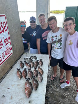 Mangrove Snapper Fishing in Port Orange, Florida