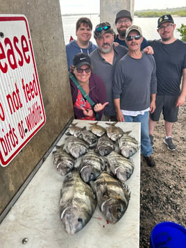 Sheepshead Fishing in Port Orange, Florida