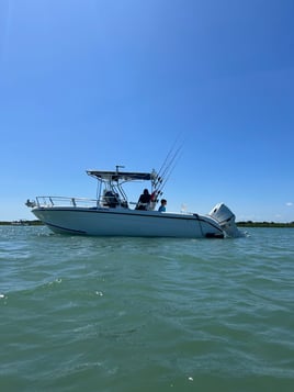 Inshore fishing trip