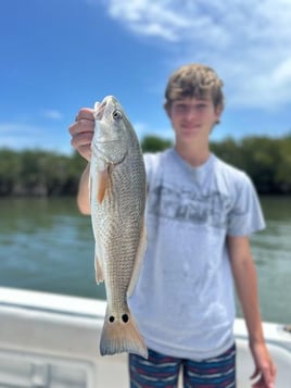 Inshore fishing trip