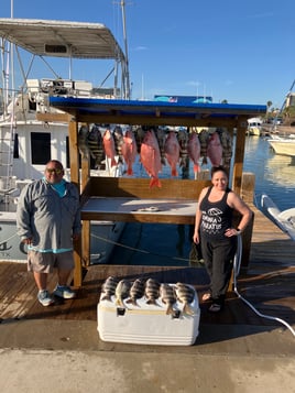 Classic half day Offshore Trip