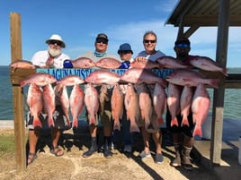 Classic half day Offshore Trip