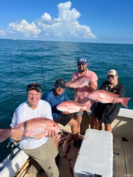 Classic half day Offshore Trip