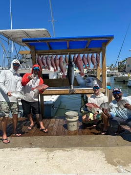 Classic half day Offshore Trip