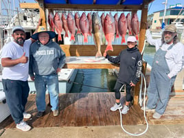 Classic half  Day Offshore