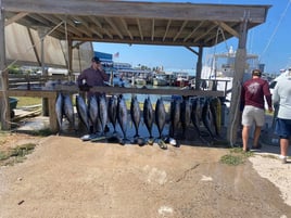 Classic Full Day Offshore