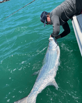 Gnarly Nearshore fishing