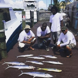 Hollywood FL Fishing Fun