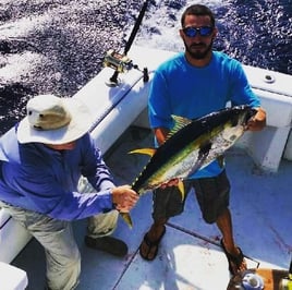 Yellowfin Tuna Fishing in Hollywood, Florida