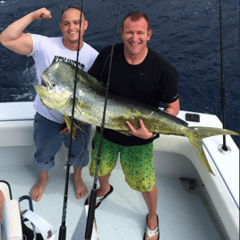 Mahi Mahi Fishing in Hollywood, Florida